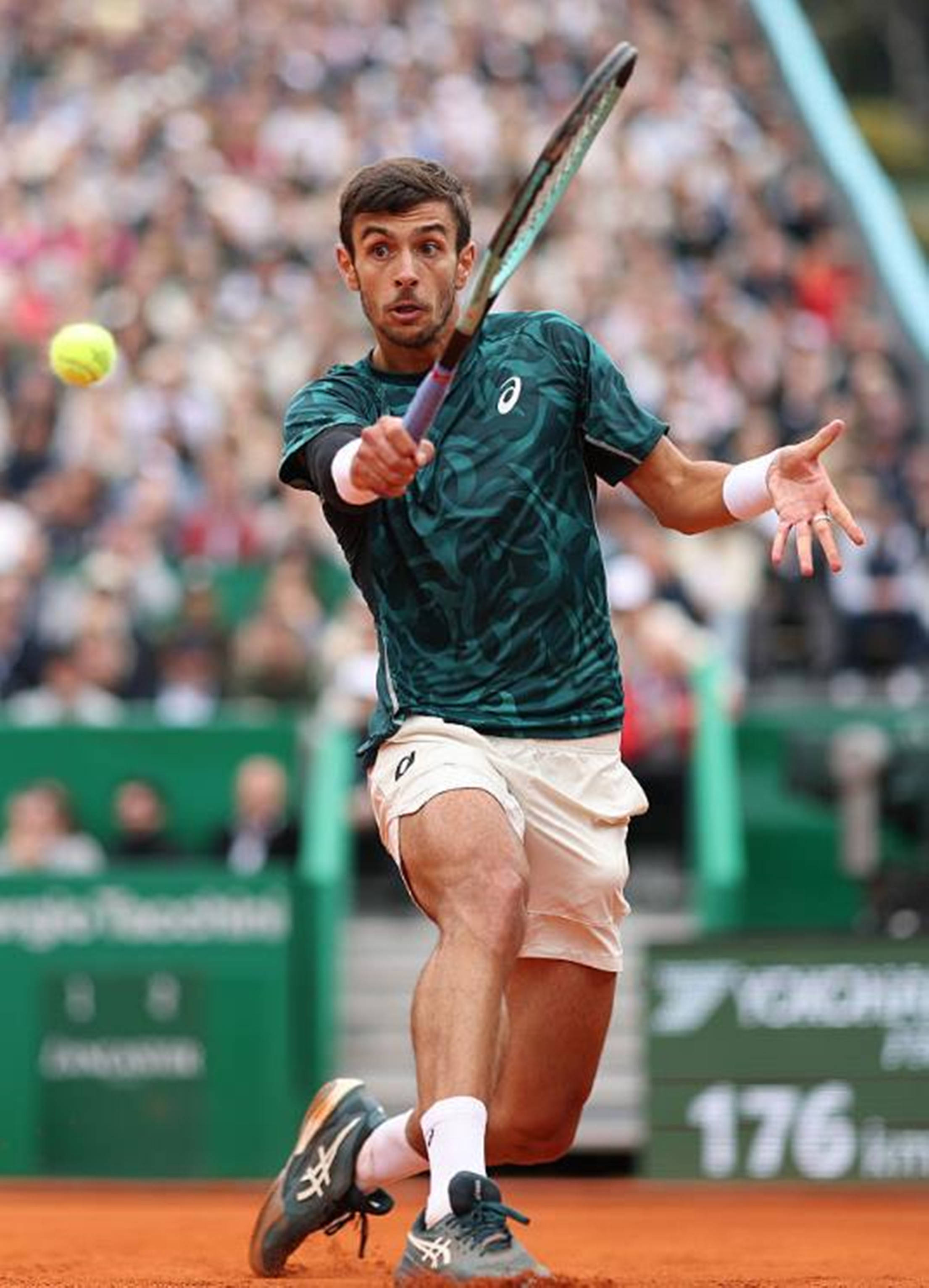 伯卡特10 伯卡特10