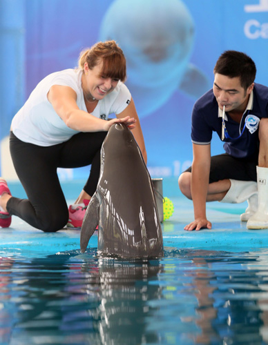 他通过精准 他通过精准