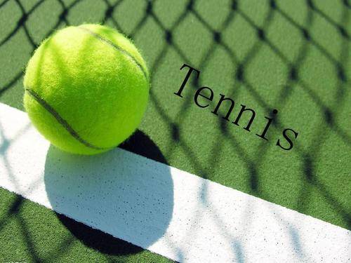 科比在整个 科比在整个